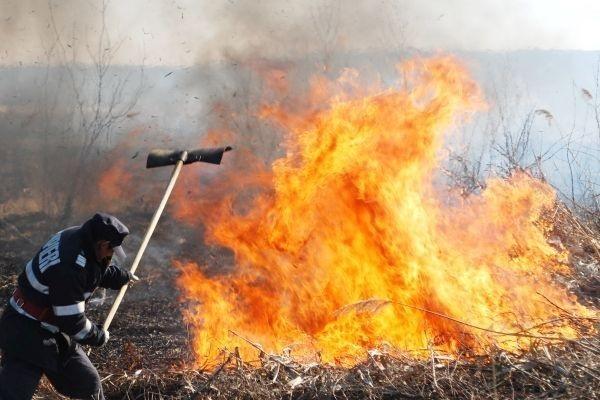 Alertă la  Braşov! Incendiu de vegetaţie uscată lângă Cetatea Râşnov 
