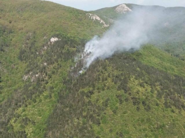 Incendiu violent în Parcul Naţional Domogled-Valea Cernei