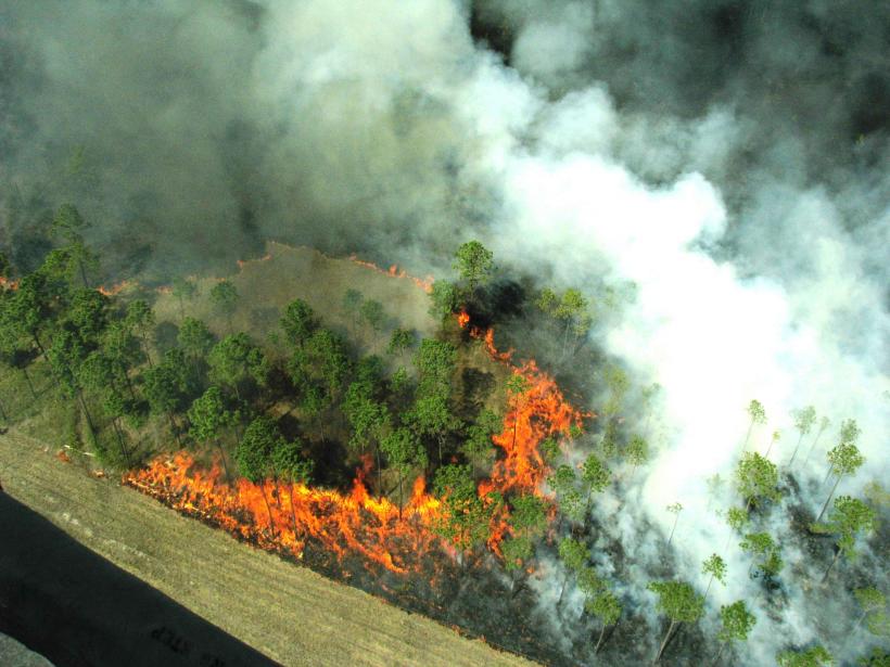 Pentru stingerea incendiului din Domogled, pompierii acționează pentru a treia zi consecutiv