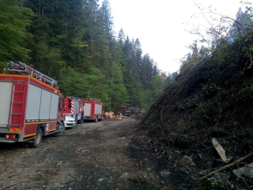 Intervenție dificilă pentru pompierii mureșeni, într-o pădure din Valea Sălardului