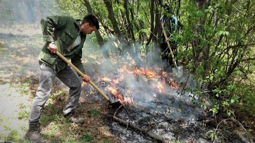 Alte trei focare în Parcul Naţional Domogled-Valea Cernei, în urma incendiului ce a afectat 4 hectare