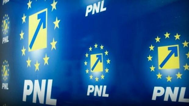 PNL vrea sa stopeze traseismul politic şi la nivel parlamentar