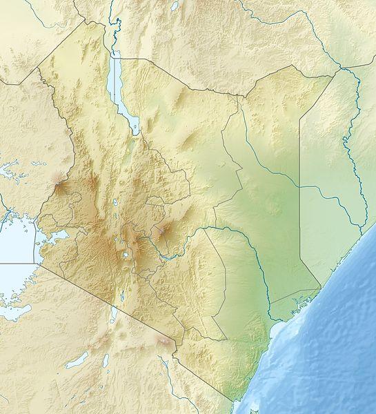 Bilanţul deceselor după ruperea unui baraj din Kenya a ajuns la 47 