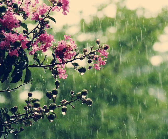 Prognoza METEO pentru 11, 12, 13 și 14 mai: Ploi
