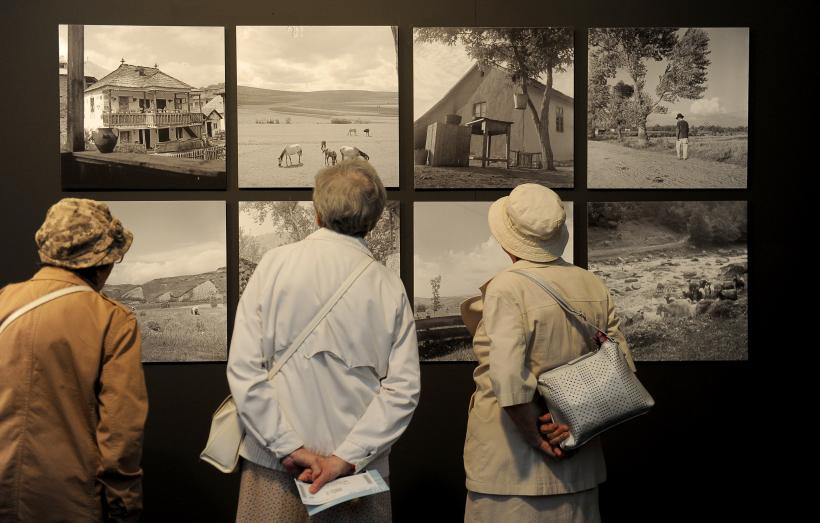 GALERIE FOTO - La ARTSAFARI sunt expuse lucrări în valoare de 10 milioane de euro 18616351