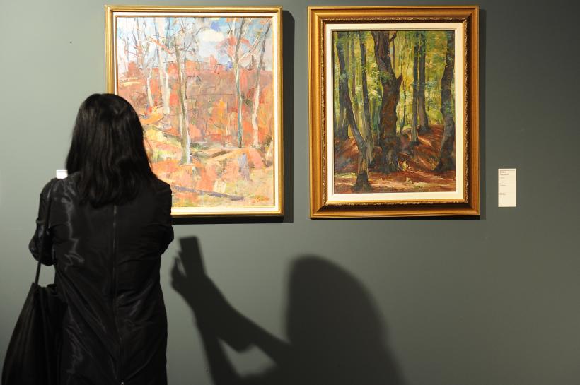 GALERIE FOTO - La ARTSAFARI sunt expuse lucrări în valoare de 10 milioane de euro 18616352