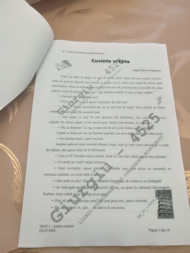 Subiecte ROMÂNĂ Evaluare Națională 2018. Avem subiectele pentru clasa a IV-a 18616450