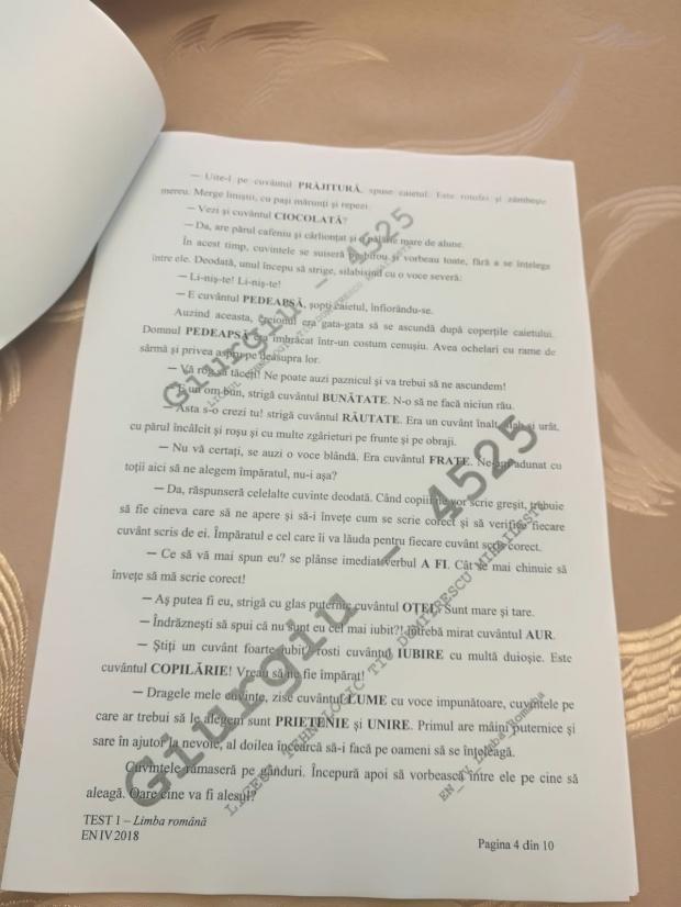 Subiecte ROMÂNĂ Evaluare Națională 2018. Avem subiectele pentru clasa a IV-a 18616451