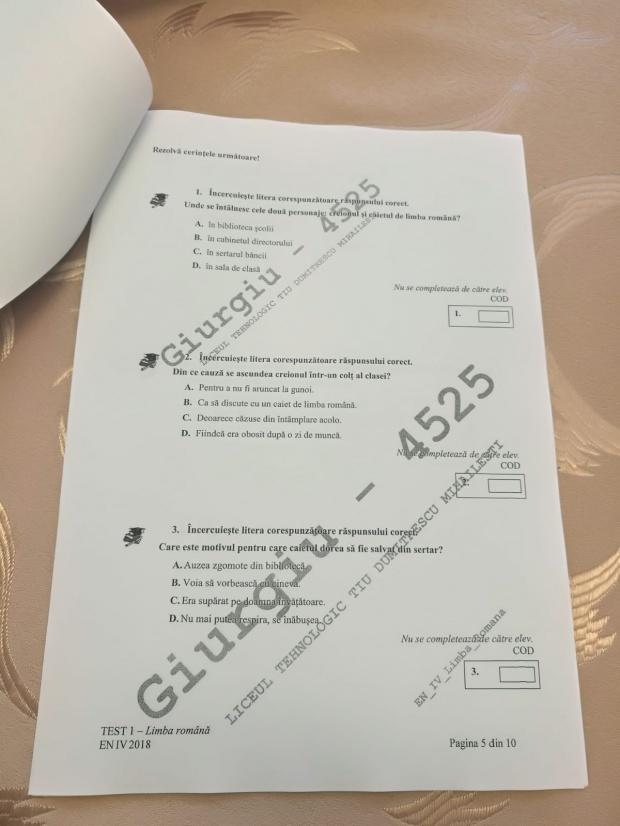 Subiecte ROMÂNĂ Evaluare Națională 2018. Avem subiectele pentru clasa a IV-a 18616452