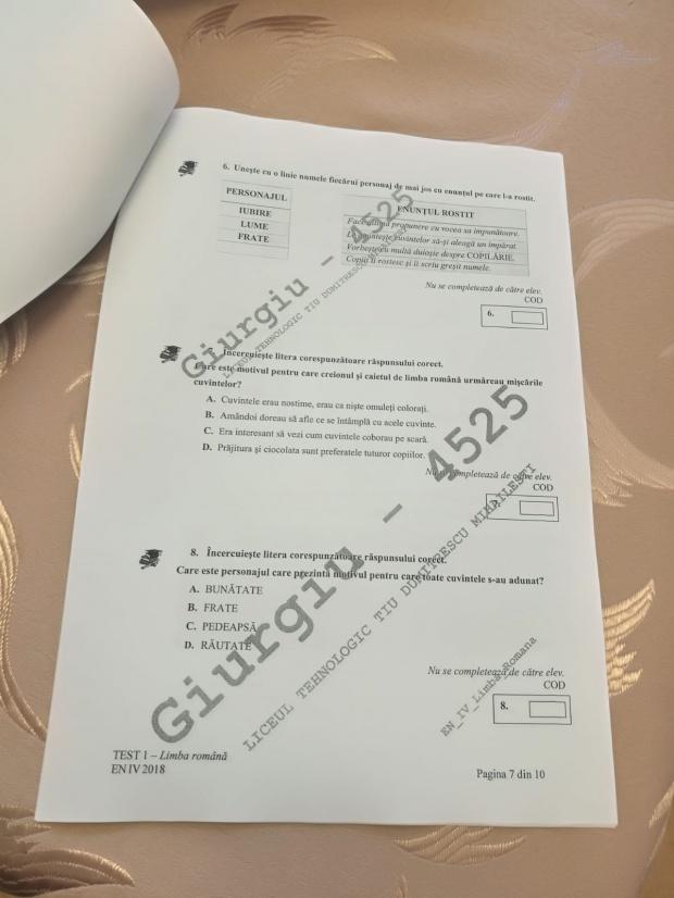 Subiecte ROMÂNĂ Evaluare Națională 2018. Avem subiectele pentru clasa a IV-a 18616454