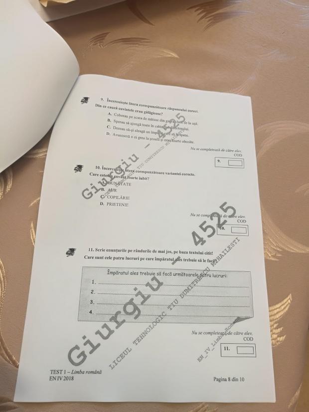 Subiecte ROMÂNĂ Evaluare Națională 2018. Avem subiectele pentru clasa a IV-a 18616455