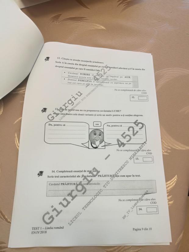 Subiecte ROMÂNĂ Evaluare Națională 2018. Avem subiectele pentru clasa a IV-a 18616456