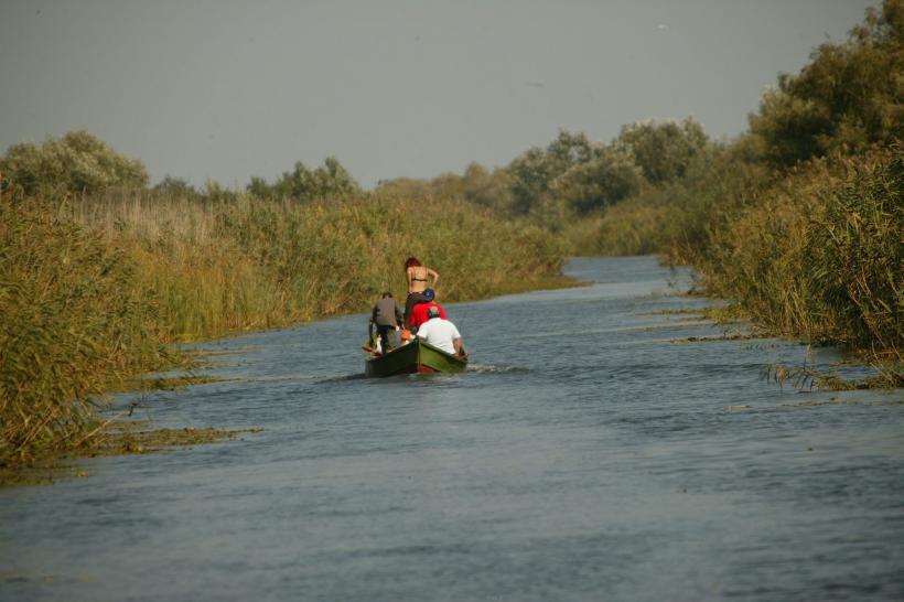 Delta Dunării face foamea pe un miliard de euro