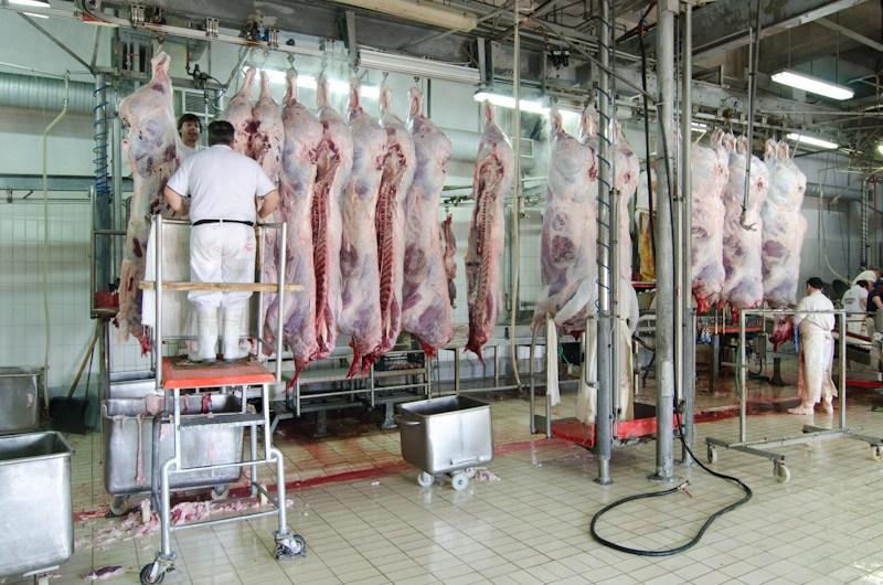 România a importat carne şi preparate din carne de circa 125 milioane de euro, în primele două luni 