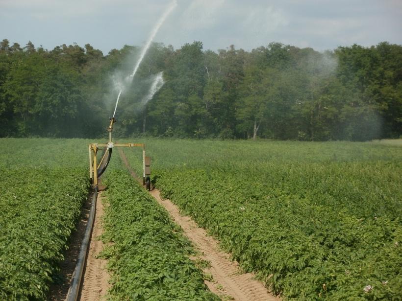 UE propune măsuri pentru a facilita reutilizarea apei la irigațiile agricole