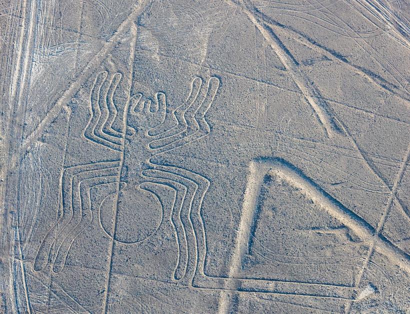 Alte desene uriase descoperite in Peru