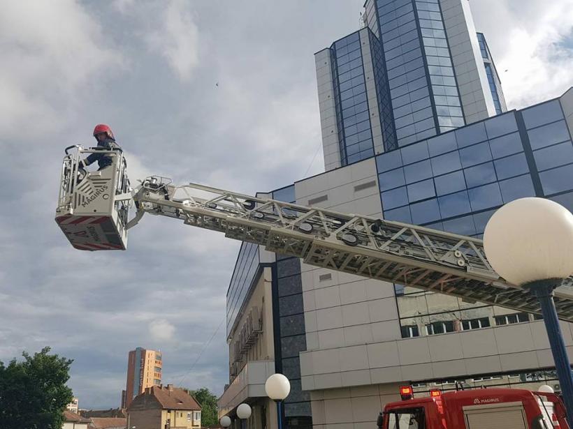 Sibiu: Pescăruş rănit, salvat de pompieri de pe o clădire înaltă