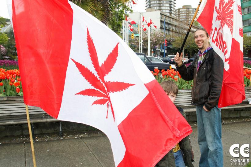 Marijuana devine legală în Canada începând cu 17 octombrie