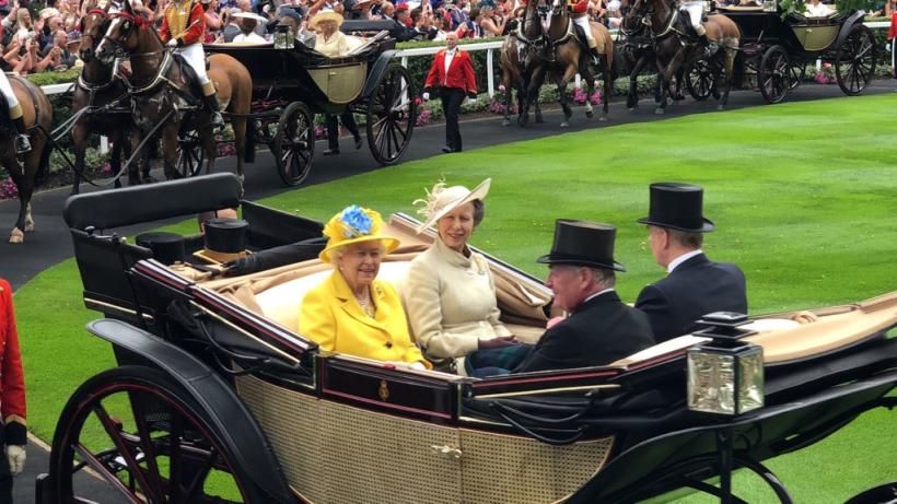 Casele de pariuri înregistrează pierderi considerabile, după ce pariorii au ghicit culoarea pălăriei reginei