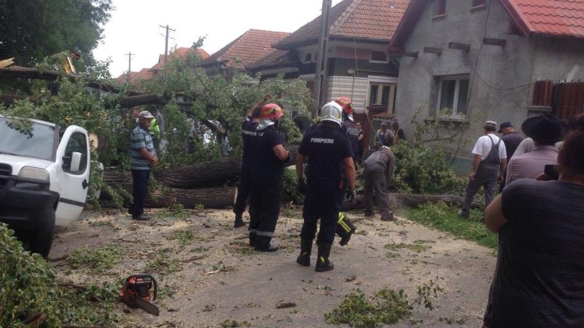 O femeie a fost grav rănită, după ce un copac a căzut peste o casă şi o maşină în Sâmbăta de Jos