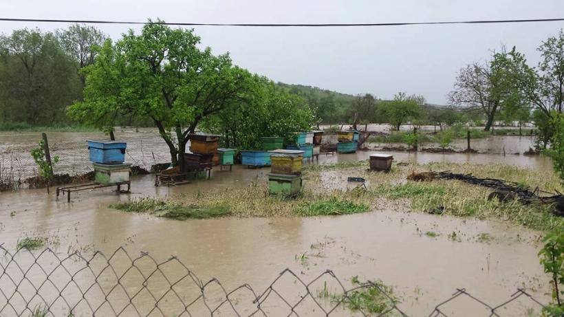 Drumuri blocate de aluviuni şi sute de gospodării inundate şi fără electricitate în Bacău