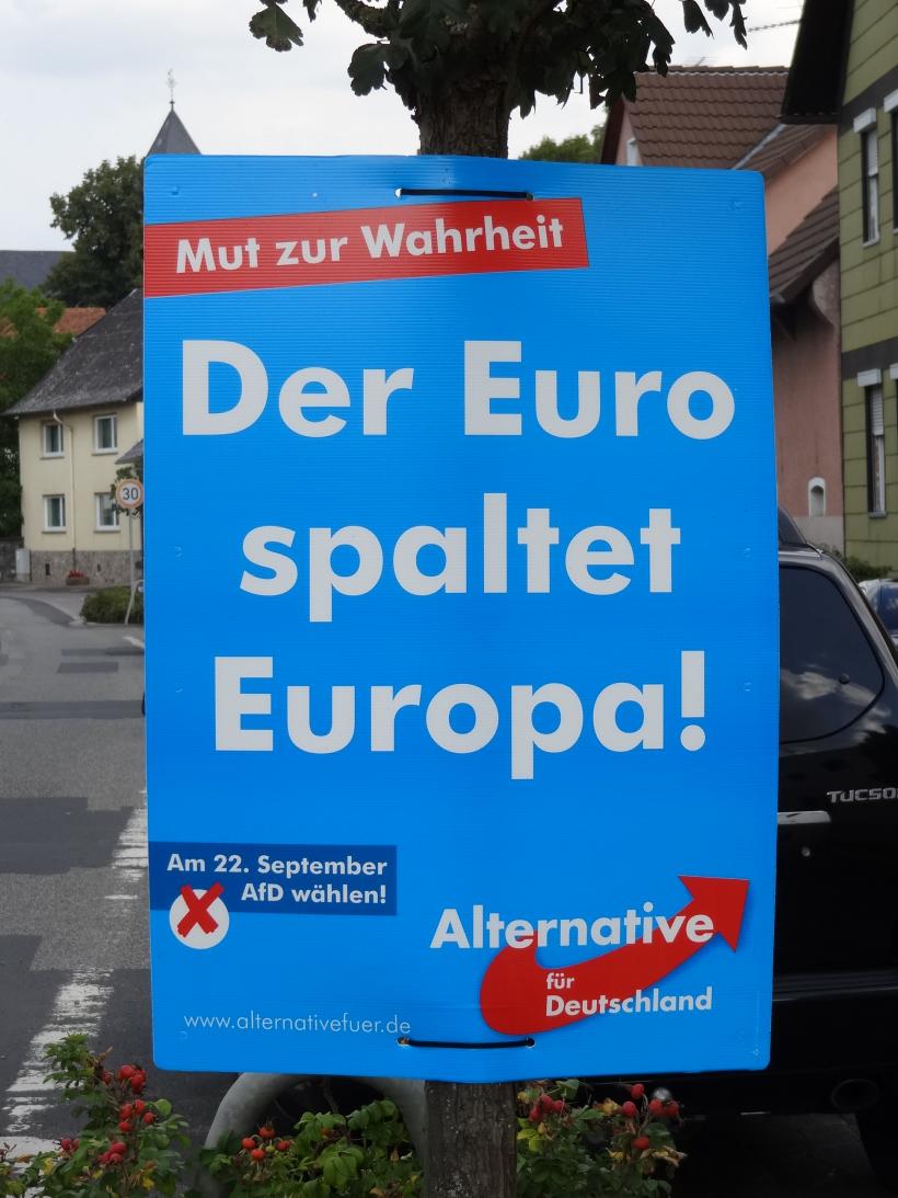 Sute de persoane au protestat în sudul Germaniei împotriva formațiunii de extremă dreapta AfD