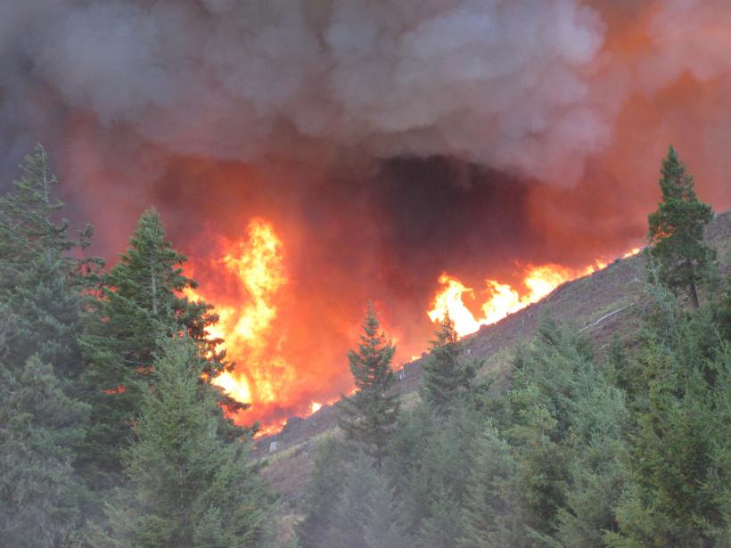 Incendiu puternic de vegetaţie în California