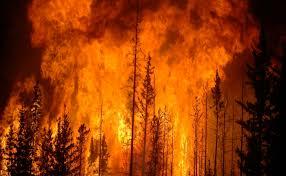 Mii de persoane din Suedia forţate să îşi părăsească locuinţele din cauza incendiilor forestiere 