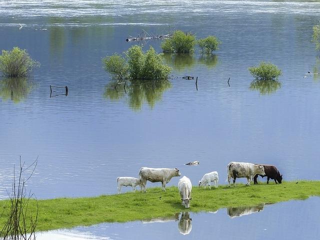 Avertizare de inundaţii pentru judeţele Sălaj, Maramureş şi Satu Mare