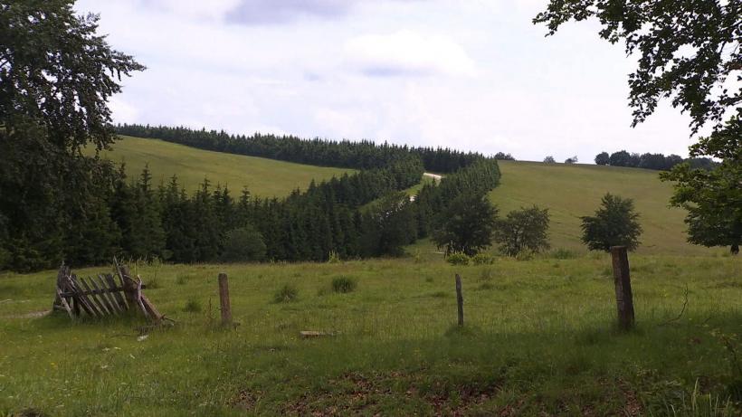 Perla Banatului a ajuns oraşul fantomelor 18625611