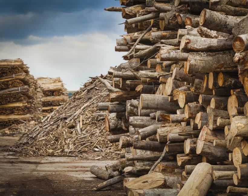 Criza lemnelor pentru încălzirea caselor modifică Codul Silvic