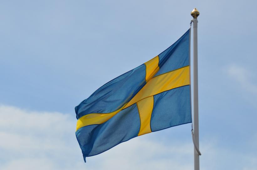 Precizarile Ambasadei Suediei despre masina cu numere de inmatriculare anti-PSD. &quot;Ţările-gazdă hotărăsc ce fel de vehicule au permisiunea să călătorească pe teritoriul lor&quot;