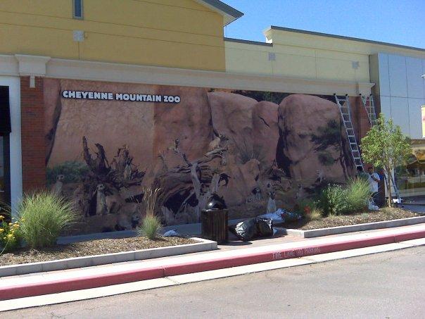 SUA: 14 persoane ranite de grindina la Zoo Colorado!