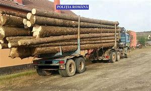 Peste 30.000 de metri cubi de lemn, confiscaţi de poliţişti în primele şapte luni