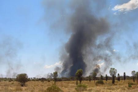 Vântul puternic a intensificat incendiile de vegetaţie de pe coasta estică a Australiei