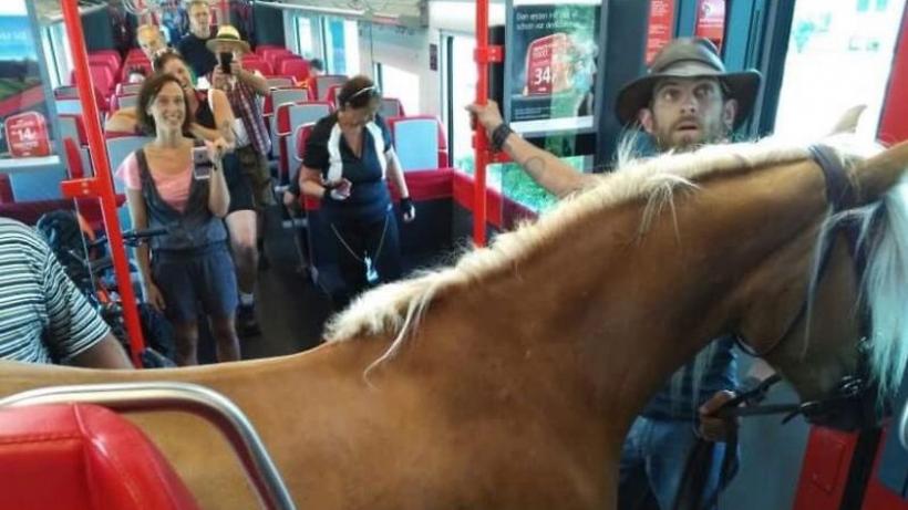 FOTO. Un bărbat din Austria a încercat să călătorească cu trenul alături de calul său