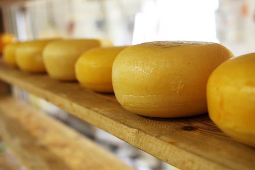 Vești bune pentru iubitorii de brânză: Lactatele nedegresate nu sunt rele pentru sănătate (studiu)