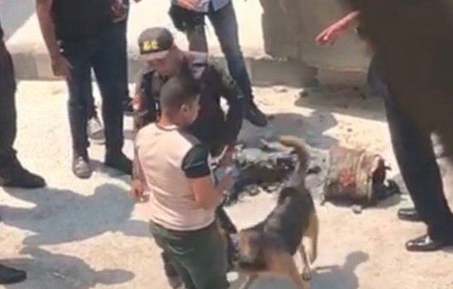 VIDEO - Explozie în apropierea ambasadei SUA din Cairo. Un bărbat, arestat