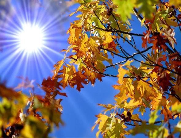 Prognoza METEO pentru 7, 8, 9 şi 10 septembrie: Vreme frumoasă