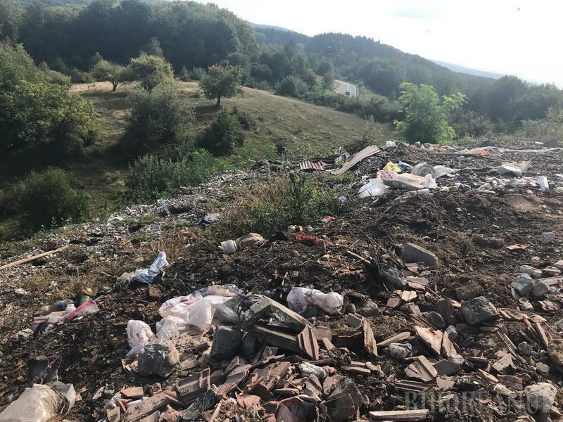 Tone de gunoaie depozitate ilegal într-o arie protejată din Bihor