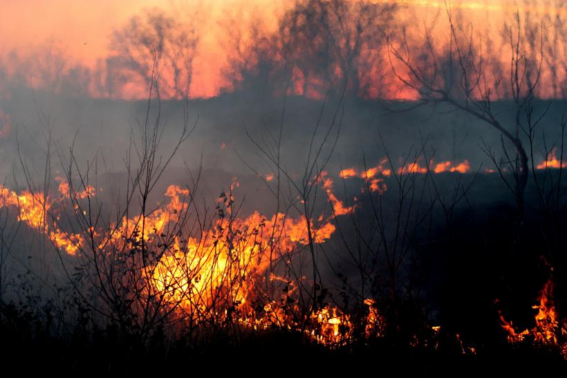 Incendiu de vegetație în Germania