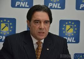 Ioan Cupşa (PNL): Juriştii puterii au propus anularea tuturor probelor, pentru a-i scăpa pe condamnaţi
