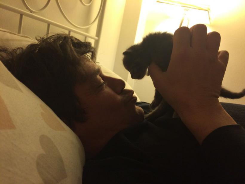 Cristi Iacob, juratul de la „Te cunosc de undeva!”, este un mare iubitor de pisici:  „Eu sunt cel care o moșește pe Usi, pisicuța noastră” 18634723