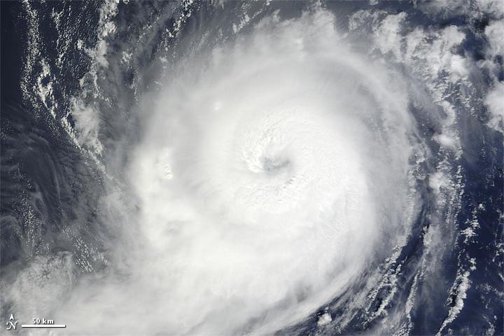 VIDEO. Uraganul Michael, cel mai puternic din ultimii 25 de ani
