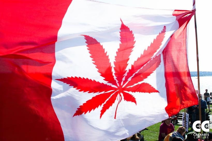 Consumul recreațional de marijuana a devenit legal în Canada