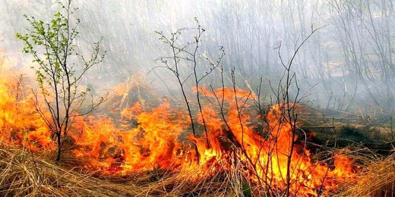 Incendiu de vegetaţie pe un teren din Vaslui
