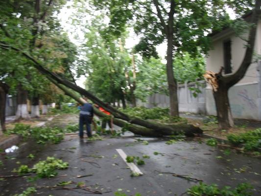 O femeie a fost rănită după ce un copac rupt de vânt a căzut peste ea, la Craiova