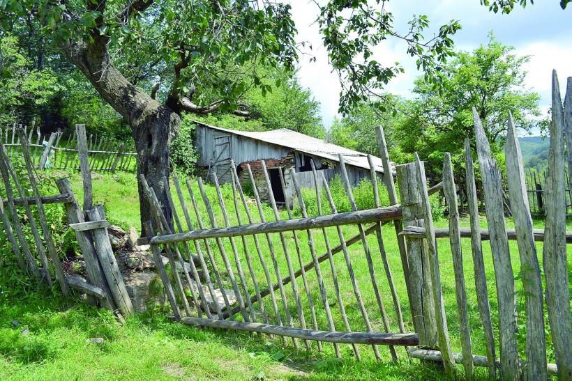 Lindenfeld, satul părăsit și încremenit în timp 18636925