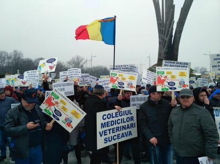 Colegiul Medicilor Veterinari organizează astăzi un miting de protest în Piaţa Victoriei