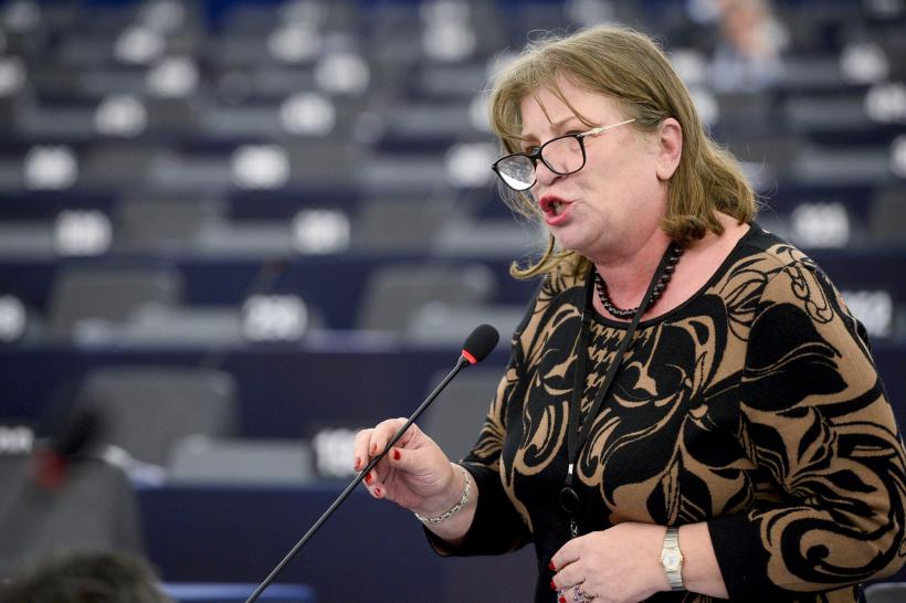 ALDE îşi face propria lege privind parteneriatul civil
